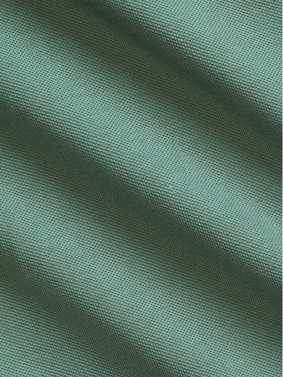 Polo Ralph Lauren Polo Ralph Lauren Hemd 710654408144 Grün Regular Fit