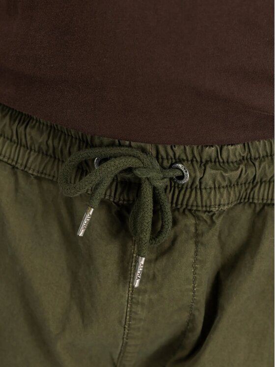 Alpha Industries Alpha Industries Spodnie materiałowe AI.266203 Zielony Regular Fit