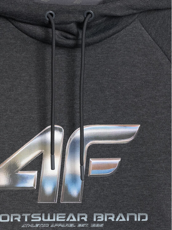 4F 4F Bluza WINTER CODE Szary ciemny Regular Fit