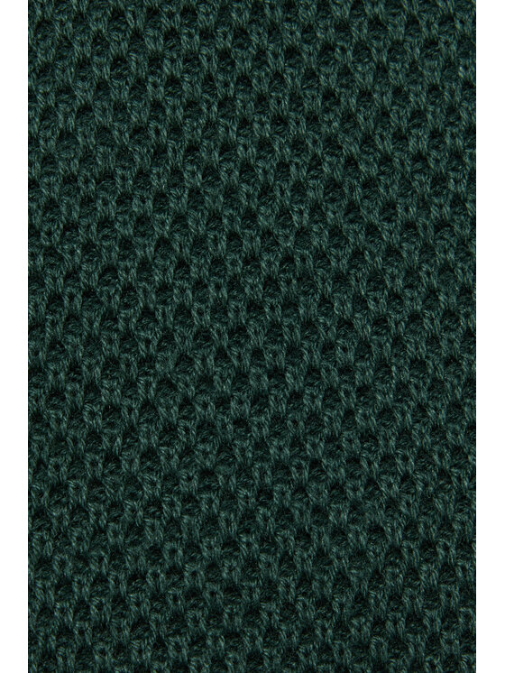 Próchnik Próchnik Kardigan PM11 SW073224000046 Zielony Regular Fit