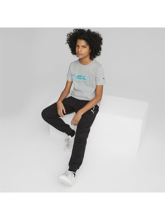 Puma Puma Spodnie dresowe 538490 Czarny Regular Fit