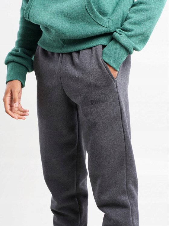 Puma Puma Spodnie dresowe 586714 Szary Regular Fit