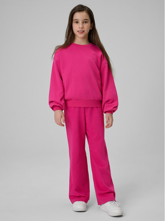 4F 4F Spodnie dresowe BASIC+ Różowy Regular Fit