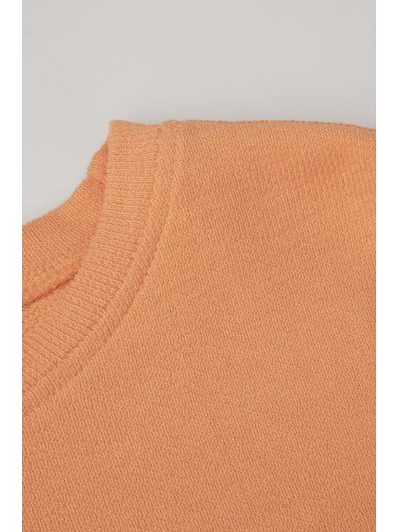 Coccodrillo Coccodrillo Bluza WC4132102CEK-006 Pomarańczowy Regular Fit