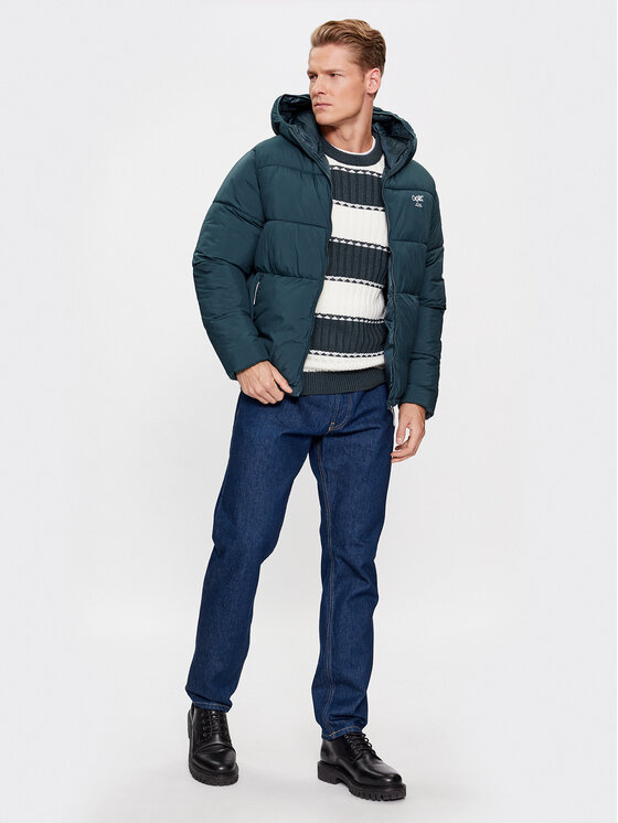 Jack&Jones Jack&Jones Žieminė striukė 12238878 Žalia Regular Fit