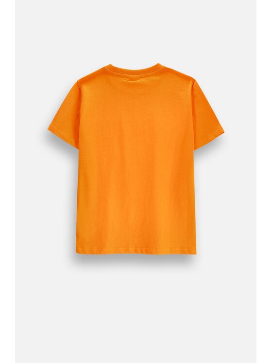 Coccodrillo Coccodrillo T-Shirt ZC6143203VUA-006 Pomarańczowy Regular Fit
