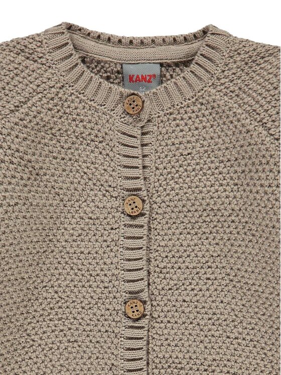 Kanz Kanz Bluza 2122207-6830 Beżowy Basic Fit