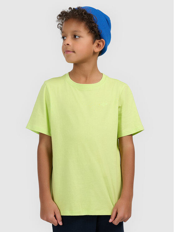 4F 4F T-Shirt BASIC+ Zielony Regular Fit