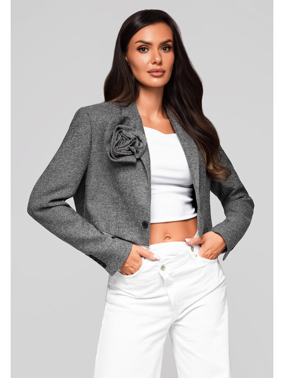 Ombre Ombre Marynarka LW-BLZB-0100 Szary Regular Fit