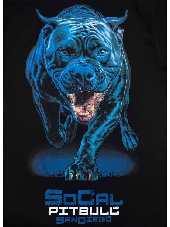 PITBULL PITBULL T-Shirt Koszulka damska In Blue XS Czarny Regular Fit