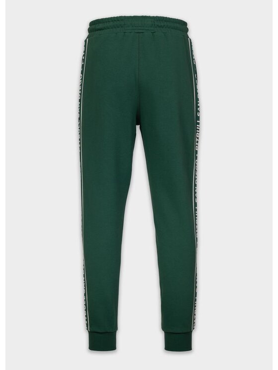 PITBULL PITBULL Spodnie dresowe NEXUS Zielony Regular Fit