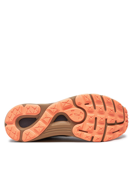 Under Armour Under Armour Tekaški čevlji Ua U Sonic Trail 3027764-202 Rjava