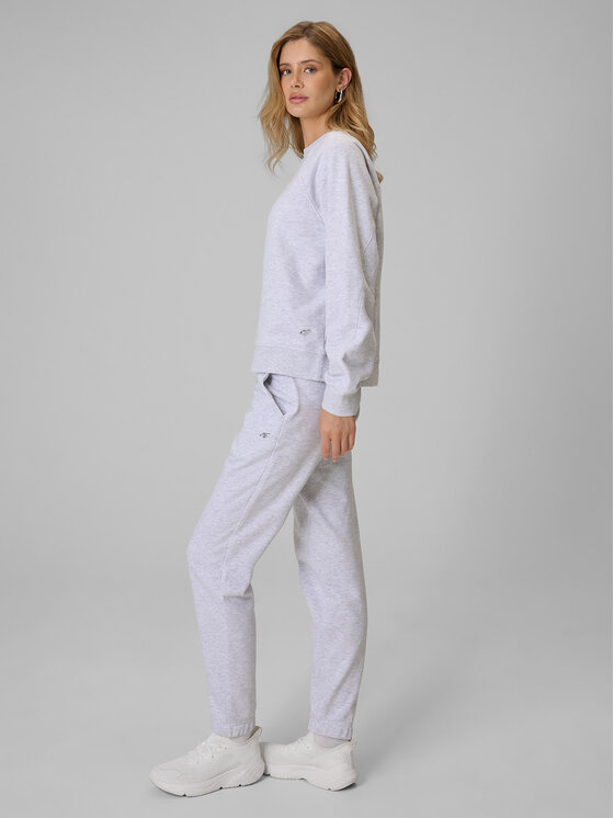 4F 4F Spodnie dresowe basic Szary jasny Regular Fit