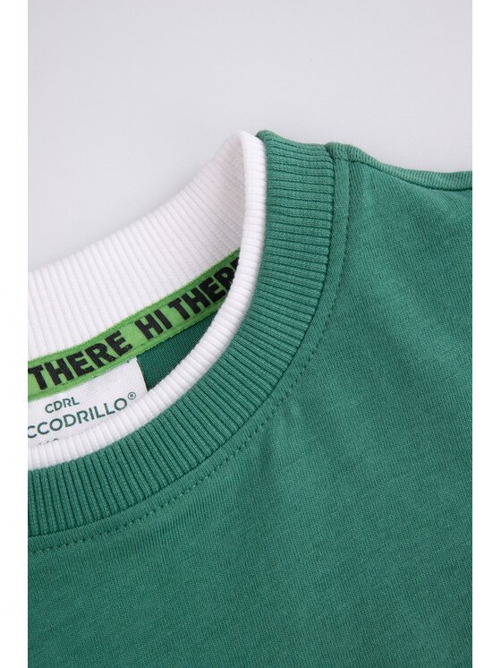 Coccodrillo Coccodrillo T-Shirt ZC5143201XBK-011 Zelená Regular Fit
