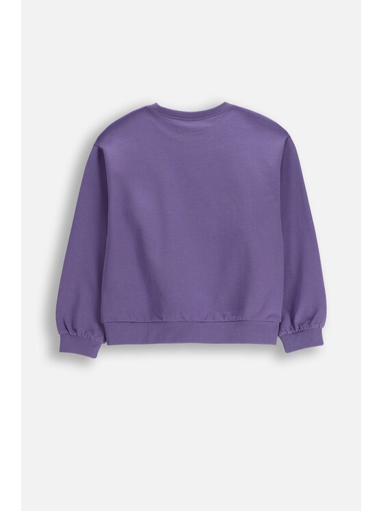Coccodrillo Coccodrillo Mikina WC6132101VGA-016 Fialová Regular Fit