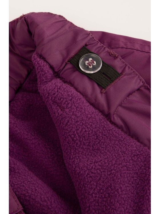Lemon Explore Lemon Explore Spodnie narciarskie ZL3119601OSG-016 Fioletowy Regular Fit