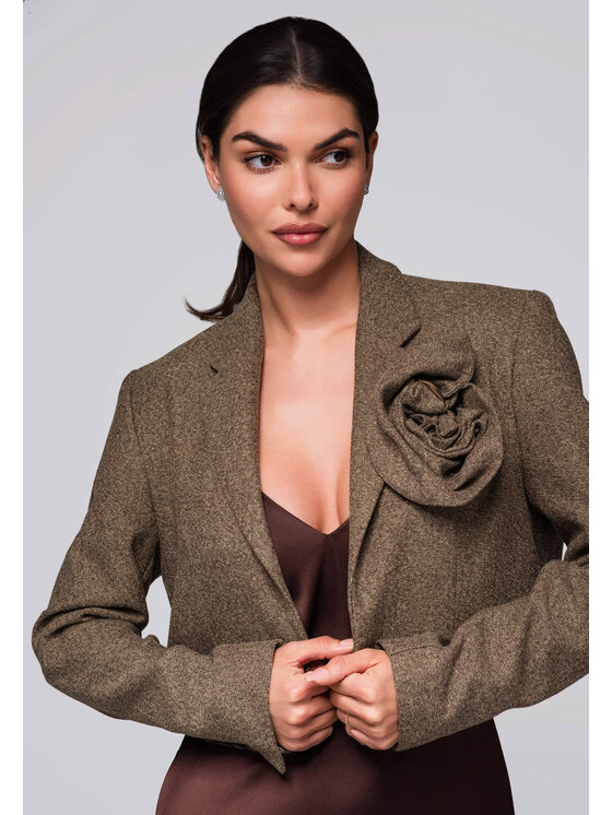 Ombre Ombre Marynarka LW-BLZB-0100 Beżowy Regular Fit