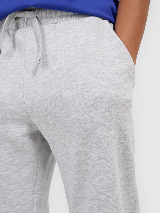 4F 4F Spodnie dresowe BASIC+ Szary Oversize