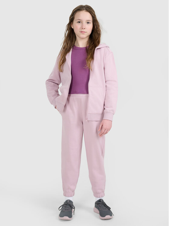 4F 4F Spodnie dresowe BASIC+ Różowy jasny Regular Fit