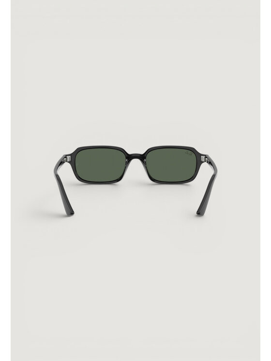 Ray-Ban Ray-Ban Γυαλιά ηλίου 0RB4455 667771 Μαύρο