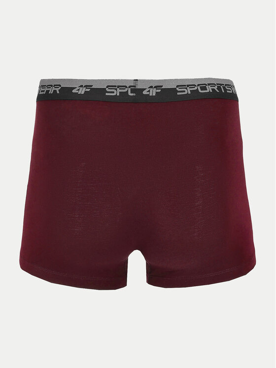 4F 4F 2er-Set Boxershorts 4FWSS24UBXSM036 Bunt