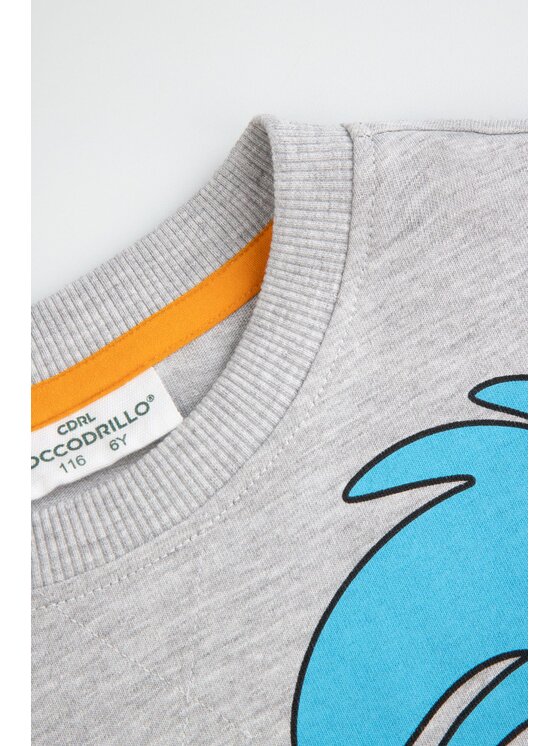 Coccodrillo Coccodrillo T-Shirt WC5143101LBW-019 Szary Regular Fit