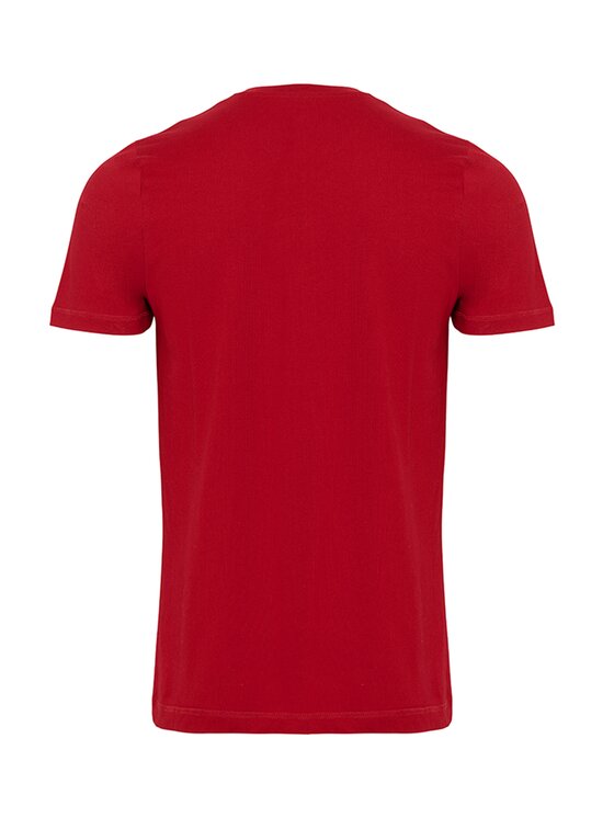 TeeShoppen TeeShoppen T-Shirt 'Basic Collection' Czerwony Regular Fit