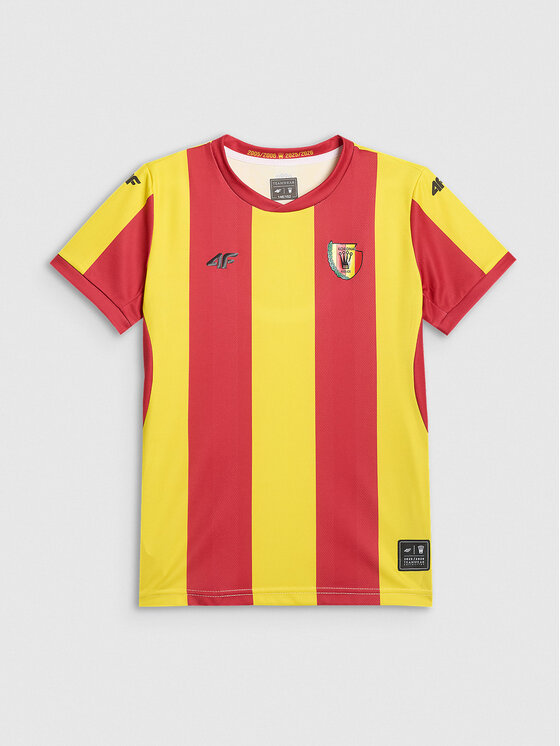 4F 4F Koszulka techniczna TEAMWEAR Kolorowy Regular Fit
