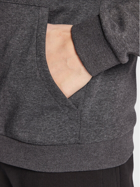 4F 4F Bluza H4Z22-BLM353 Szary Regular Fit