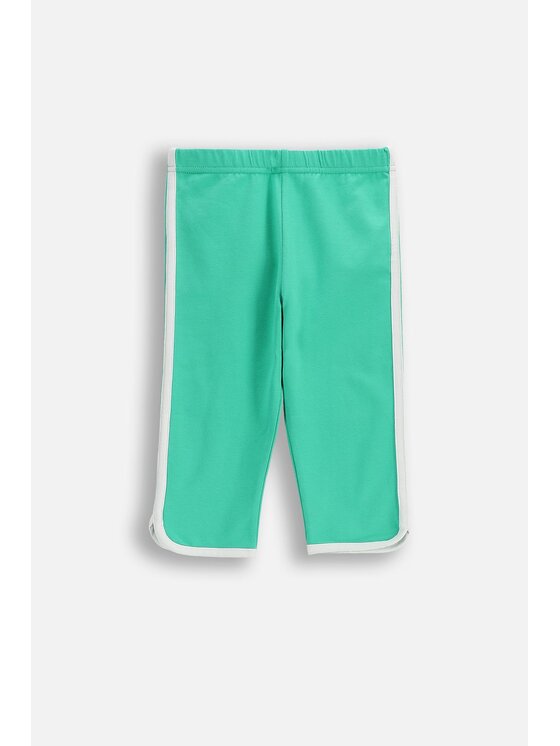 Coccodrillo Coccodrillo Legíny WC6122301JGK-011 Zelená