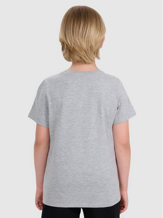 4F 4F T-Shirt BASIC+ Szary Regular Fit
