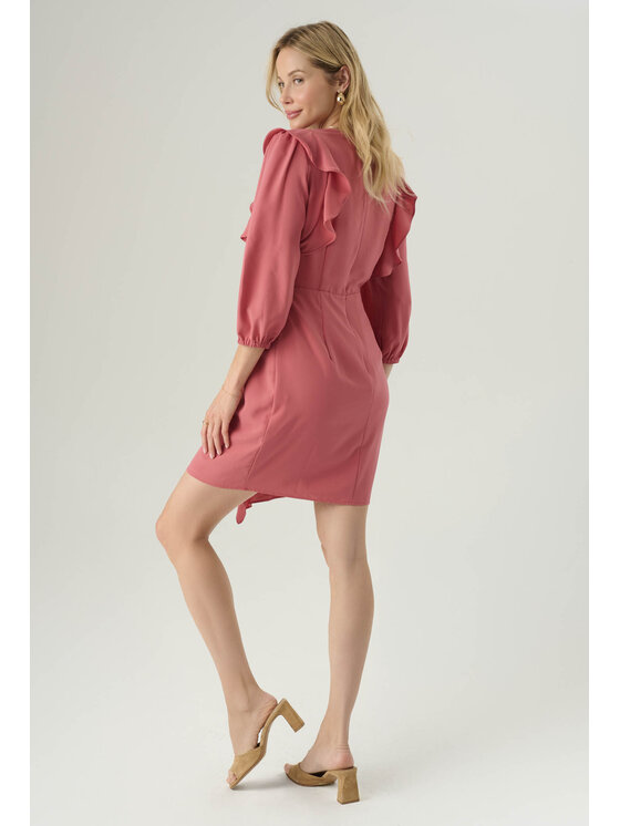 Femestage Femestage Každodenné šaty Femestage FUTURISTIC FEELING DRE3310-004 Ružová Regular Fit