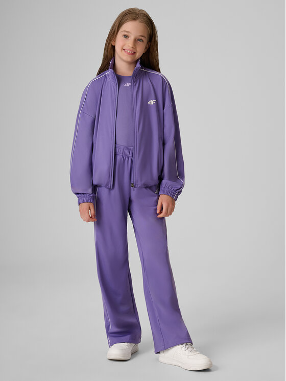 4F 4F Spodnie dresowe AQUA FORCE Fioletowy Regular Fit
