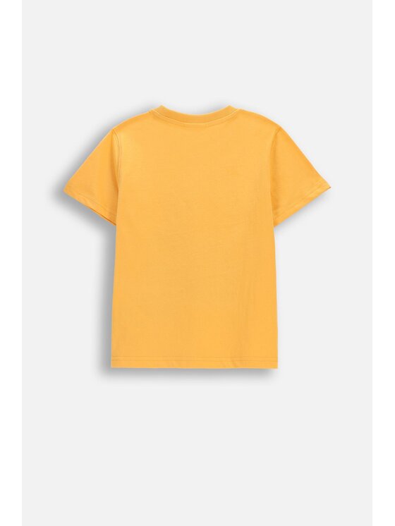 Coccodrillo Coccodrillo T-Shirt WC6143203MBK-006 Pomarańczowy Regular Fit