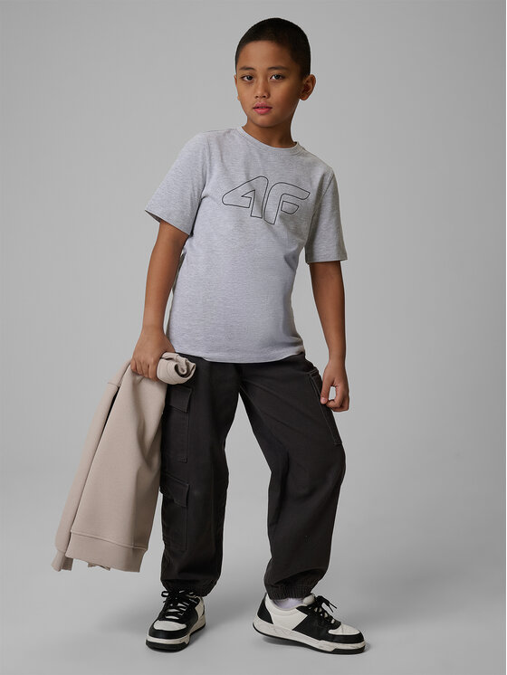4F 4F T-Shirt BASIC+ Šedá Regular Fit