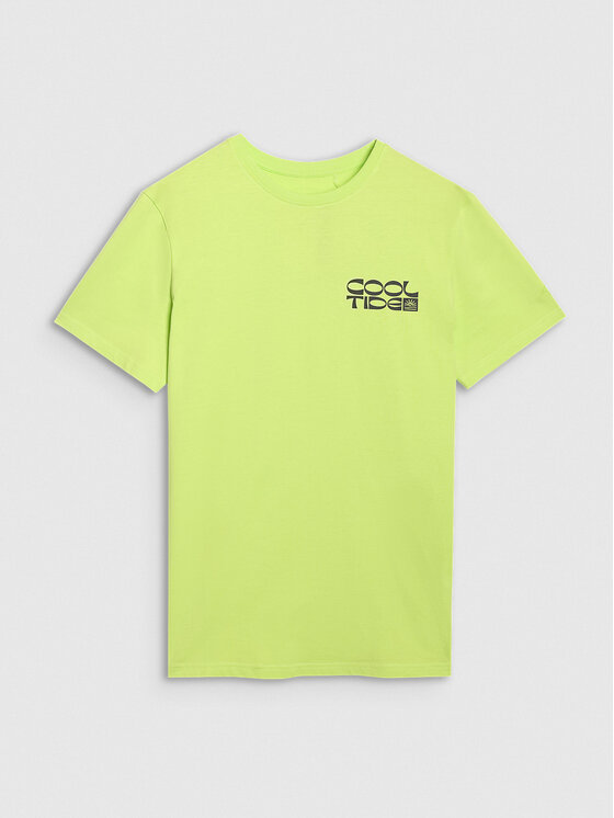 4F 4F T-Shirt CHILLY WAVES Zielony Regular Fit