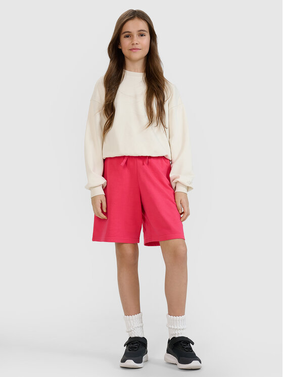 4F 4F Szorty sportowe BASIC+ Różowy Oversize