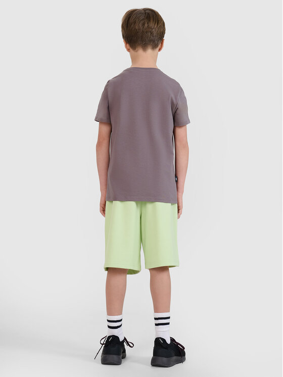 4F 4F Szorty sportowe TSHOM685 Zielony Oversize