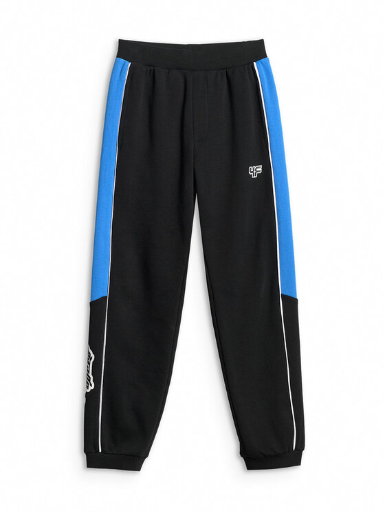 4F 4F Spodnie dresowe ESPORTS RACING Czarny Regular Fit