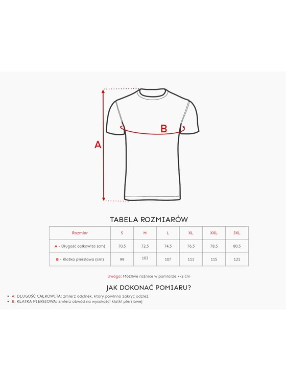 Alpinus Alpinus T-Shirt Polaris II Bordowy Standard Fit