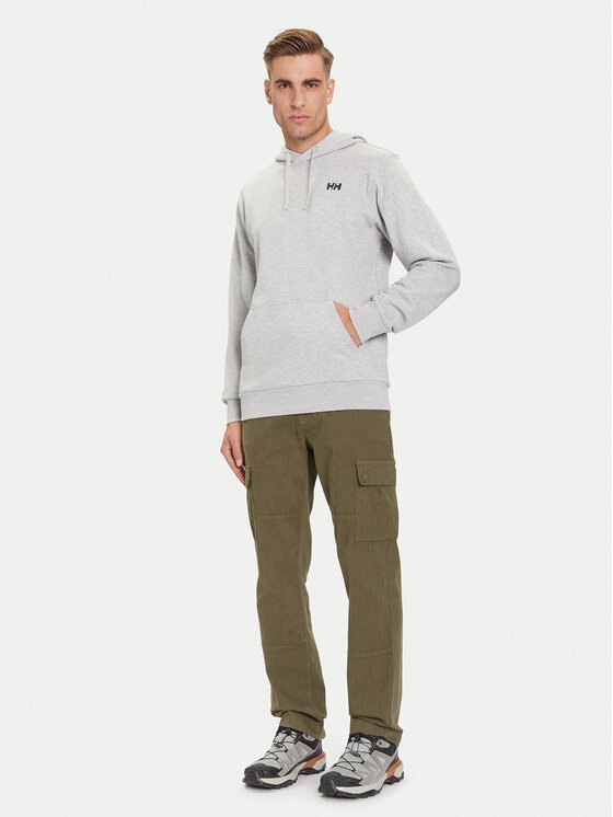 Helly Hansen Helly Hansen Mikina Core Graphic 54524 Sivá Regular Fit