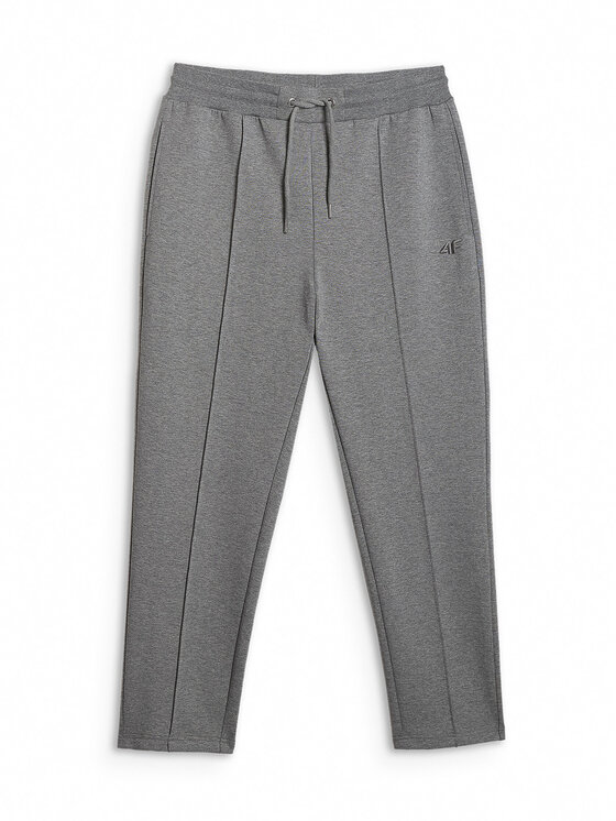 4F 4F Spodnie dresowe SPORT STORIES 25/26 Szary Regular Fit