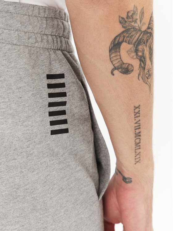 EA7 Emporio Armani EA7 Emporio Armani Spodnji del trenirke 8NPP66 PJVRZ 3905 Siva Slim Fit