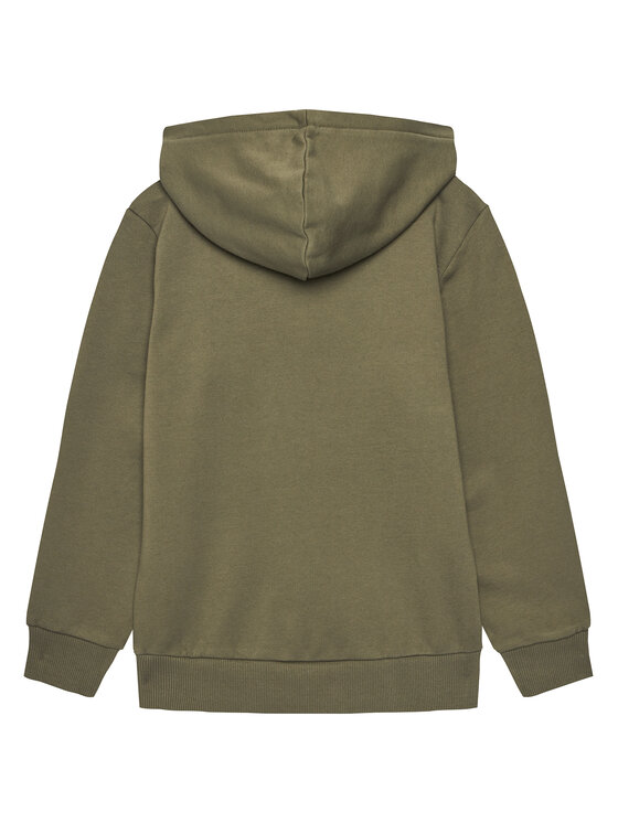 Napapijri Napapijri Bluza B-Chamois NP0A4HY4 D Zielony Regular Fit