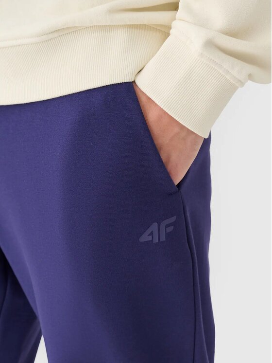 4F 4F Joggery 4FWMM00TTROM1139-31S Niebieski Regular Fit
