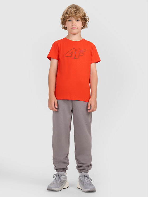4F 4F T-Shirt BASIC+ Červená Regular Fit