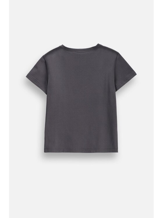 Coccodrillo Coccodrillo T-Shirt ZC6143201VGA-020 Szary Regular Fit