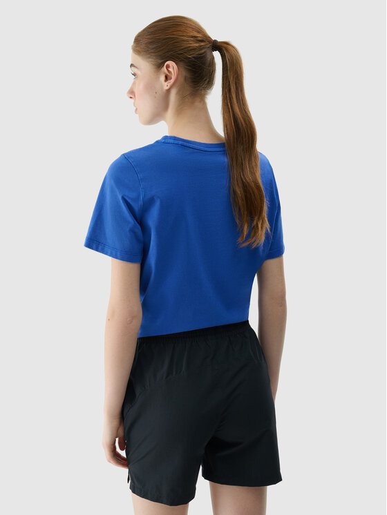 4F 4F T-Shirt HALNY Niebieski Regular Fit