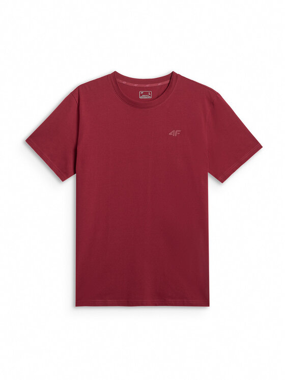 4F 4F T-Shirt ESSENTIAL 2 Kolorowy Regular Fit