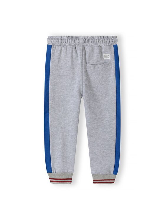 minoti minoti Spodnie dresowe 17FLEECE 10 Szary Regular Fit
